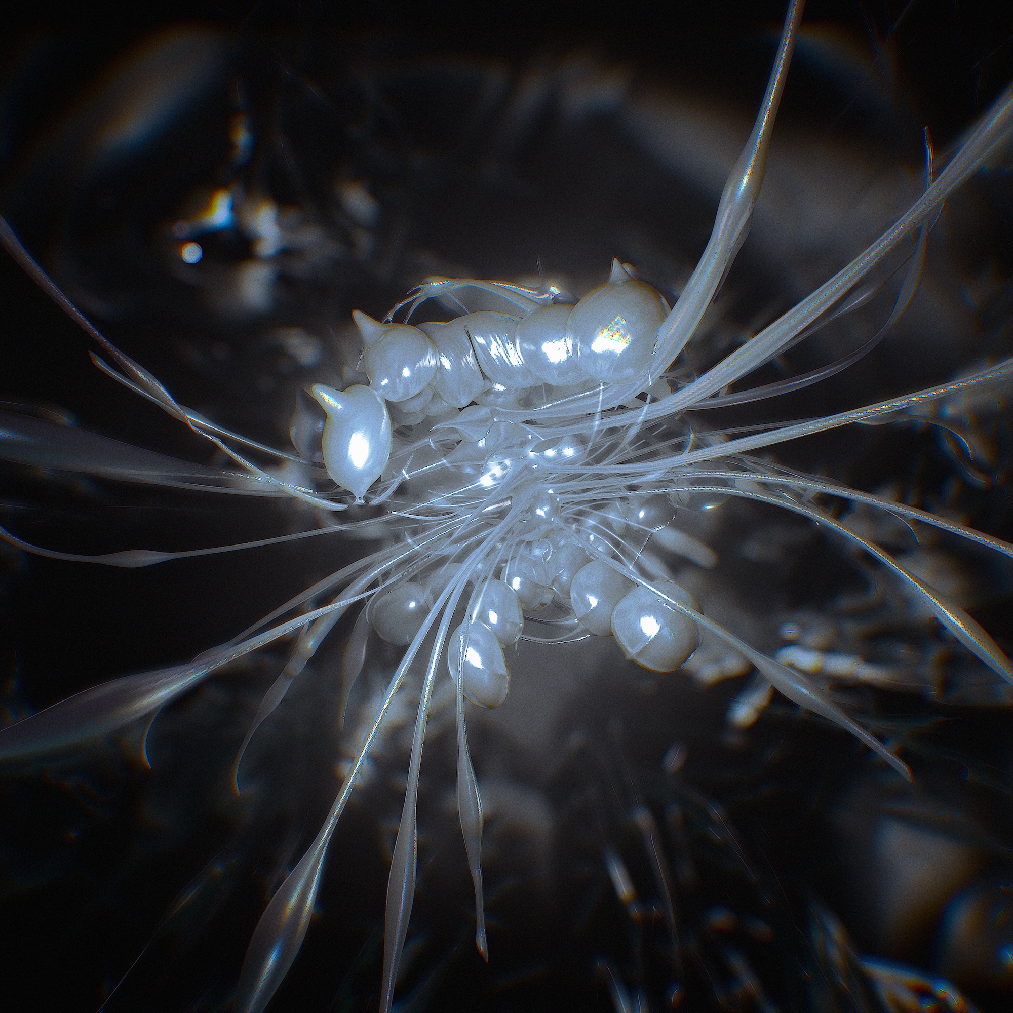 Strengjavera Album Cover